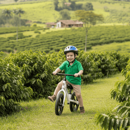 Bicicleta de equilibrio