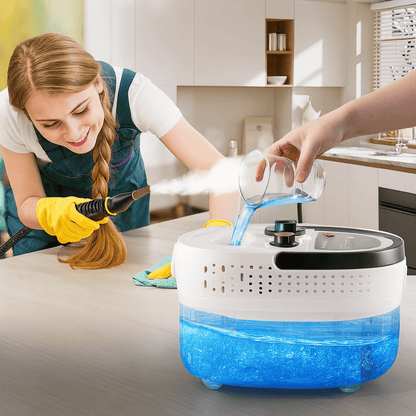 LIMPIADOR VAPORCLEAN 360